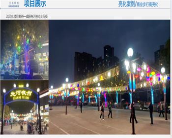 咸陽(yáng)先河夜市步行街